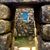 Dawid Parus's profile image