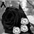 Irma Guadalupe Fonseca Palomera's profile image
