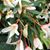 Patricia Weimann's profile image