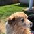 Sara Becker-Russell's profile image