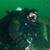 Poisson Lune's profile image