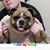 Amy R Butler's profile image