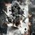 Ardilla Trejo's profile image
