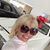 Mary Lou Lamborn's profile image