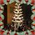 Linda Murphy Nelson's profile image