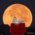Patti Gray Nichols's profile image