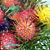 Deborah J. Lash's profile image