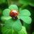 Renay Ruiz-Frias's profile image