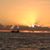 Sheryl Nussbaum Ruffing's profile image