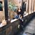 Sophia Grubb-kovach's profile image