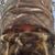 Stephen Pate's profile image