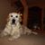 Janie Abernethy Grottkau's profile image