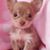 Maria-Rosa Drake's profile image