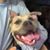 Kyle Saltzgiver's profile image