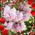 Joyce Jordan Perea's profile image