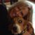 Polly Wilhelm Hormel's profile image