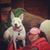 Suzette Carroll Bagby's profile image