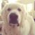 Brenda Cantor's profile image