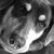 James Salley's profile image