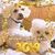 Lianne Montano-Tuter's profile image