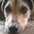 Kathy Osmolski's profile image