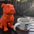 Marci Phillips's profile image
