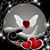 Amy E Meschke's profile image