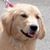 Diana Smith-Hovan's profile image