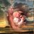 Jim Rosenbaum's profile image