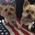 Donna Josselyn-Fitch's profile image