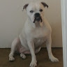 Mathew B.'s profile image