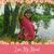 Tina Ann Mcpeters's profile image