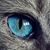 Christine Szostak's profile image
