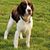 Brandy Kay Mason's profile image