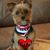 Sandy Kinney Bauer's profile image