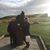 Sally Holbrook's profile image