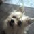 Lillian Vivian's profile image