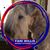 Carol Brown's profile image