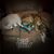 Joan Meyer-burris's profile image