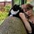 Mary Fiorini's profile image