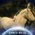 Bonnie Kalich's profile image