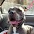 Joanna James's profile image