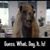 Don Klein's profile image