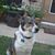 Lisa Scarborough Kupgisch's profile image