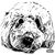 Bob Turitz's profile image