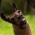 Gregory Louis's profile image