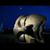 Michele Prinzi's profile image