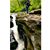 Senda McCoy's profile image