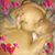 Meagan McDonald Klinker's profile image
