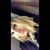 Alex Schafer's profile image